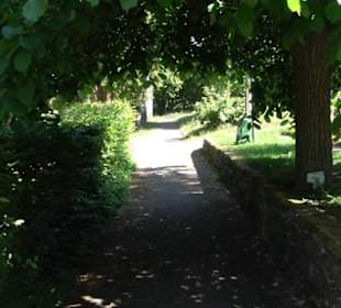 Friedhof Unterjesingen
