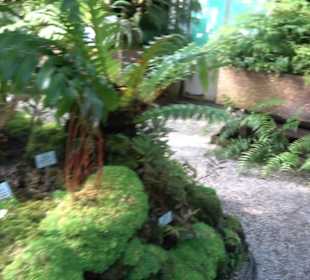 Gewächshäuser Botanischer Garten