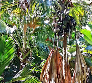 Fond Ferdinand Nature Park 