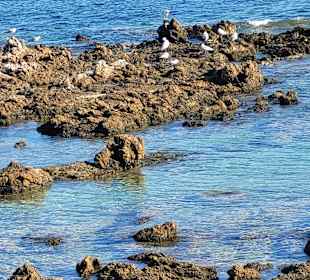Wandern Cala Ratjada