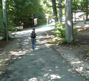 Wanderparkplatz Nebelhöhe Genkingen