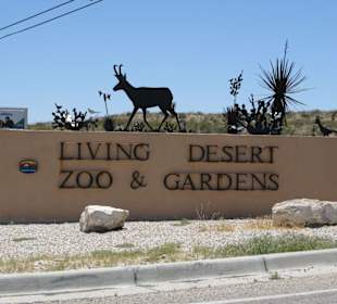 Living Desert Zoo & Gardens in Carlsbad, NM