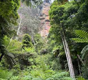 Katoomba Scenic World