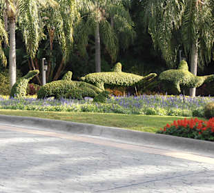 Schon der Eingang macht Lust auf mehr...