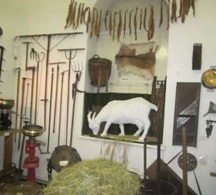 Stadt und Festungsmuseum Germersheim