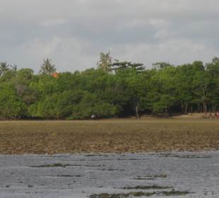 Die Insel