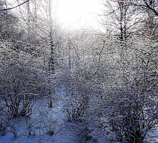 Winterspaziergang durch den Bürgerpark