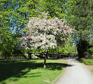 Eindrücke aus dem Braunschweiger Bürgerpark