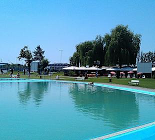 Complexul De Agrement Şi Sport Mureşul 