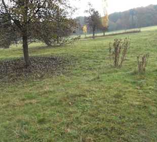 Herzog-Jäger-Pfad