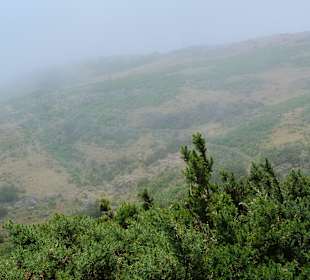 An der Ribeira do Alecrim: Blick nach Rabacal