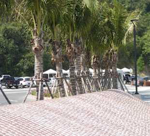 Extra angelegte kleinere Hügeln