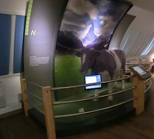 Die Milka Kuh darf nicht fehlen