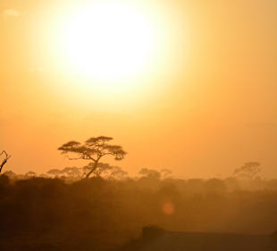 Sonnenuntergang im Amboseli
