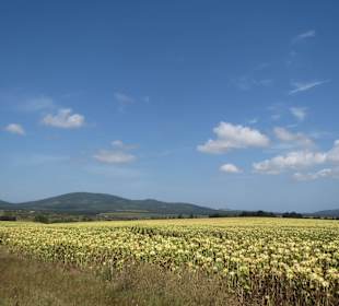 Landschaft bei Ravna Gora