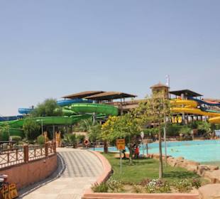 Jungle Aqua Park