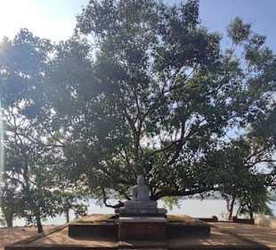 Buddha und heiliger Bodhibaum am Stausee