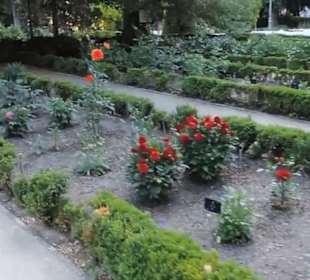 Real Jardín Botánico de Madrid