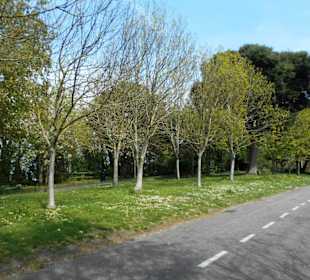 Nothe Garten