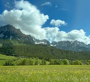 Ausblick