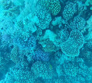 LABRANDA Royal Makadi