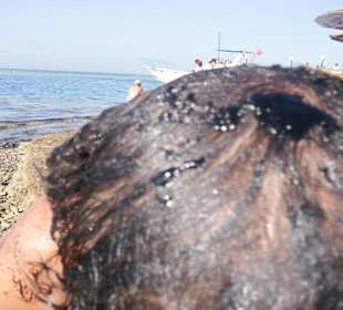 Nach dem Schnorcheln