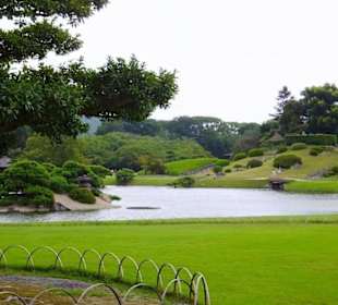 Widok ogólny ogrodu.