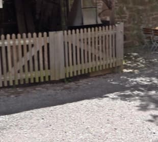 Altes Schloss Altensteig