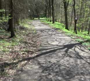 Baumlehrpfad Sontheim