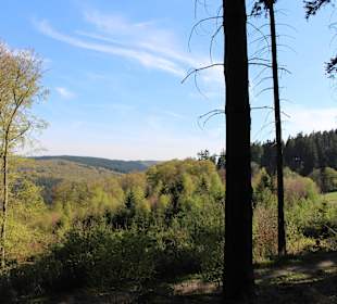 Ausblick Davy Crockett Camp