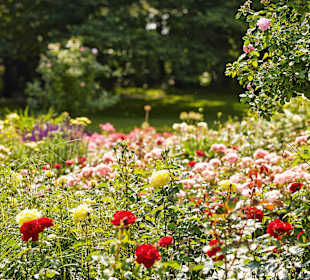 Rosengarten