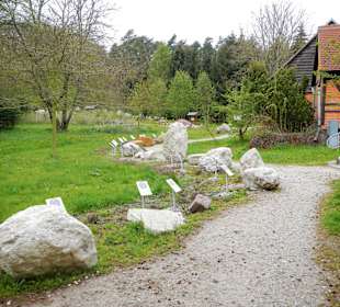 Gesteinsgarten
