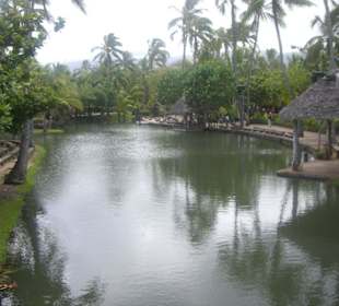 Polynesian Center