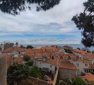 Ausblick