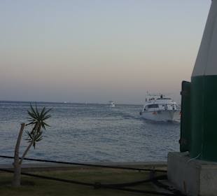 Zurück von der Delfin-Tour am Roten Meer