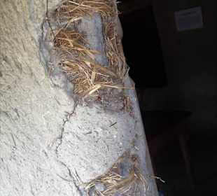 Blick auf eine Lehmwand