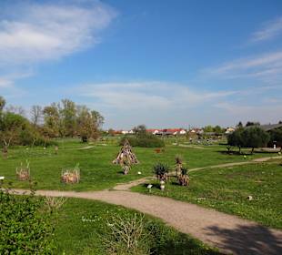 Straußenfarm Mhou Rülzheim