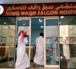 Falcon Souq