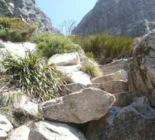 Wanderweg kurz vorm Gipfel