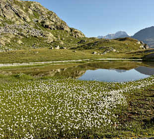 Wandern Saas Almagell
