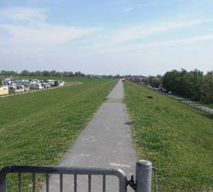 Deichwanderung Fedderwardersiel - Burhave