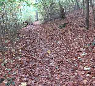 Wandertour "Rund um den Rossberg" Öschingen