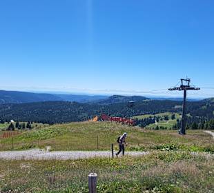 Wandern Feldberg