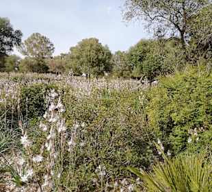 Halbinsel La Victoria