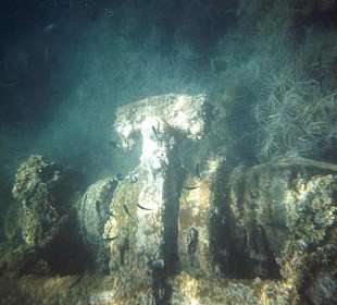 Cubaqua