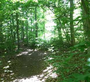 Premiumwanderweg "hochgelegen"