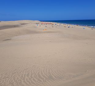 Dünen von Maspolomas