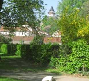 Blick auf Urturm vom Stadtpark
