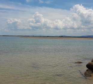 Ausblickauf die Muschelbank