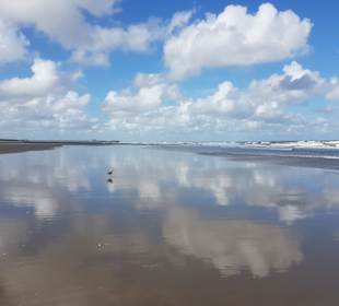 Strandpromenade Blankenberge 